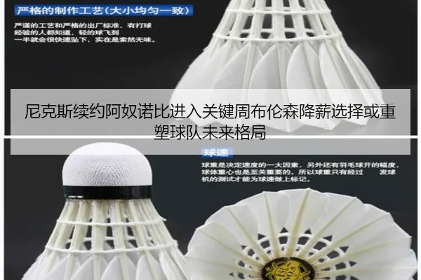 尼克斯续约阿奴诺比进入关键周布伦森降薪选择或重塑球队未来格局