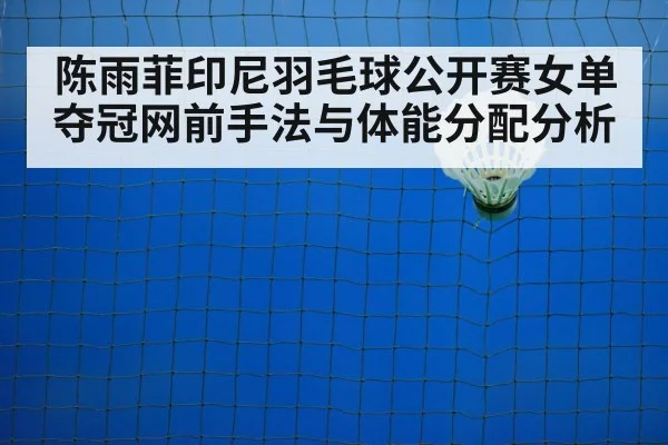 badminton net play