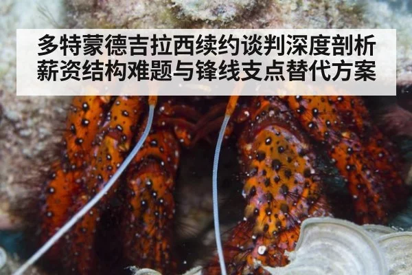 多特蒙德吉拉西续约谈判深度剖析 薪资结构难题与锋线支点替代方案